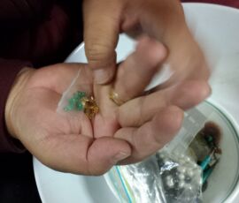 svg+xml,%3Csvg%20xmlns%3D%22http%3A%2F%2Fwww.w3 Eastern Ontario Stupa